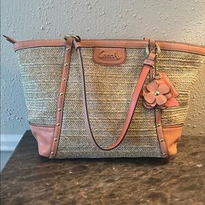 Coach Alexandra Straw Studded Tote (model F21959)